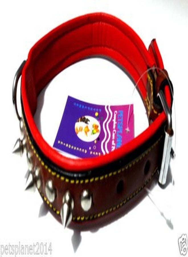 Ocean Wave Petsplanet PU Dog Collar with Soft Red Pad - Small & Medium Size Dogs 1" - Image 4